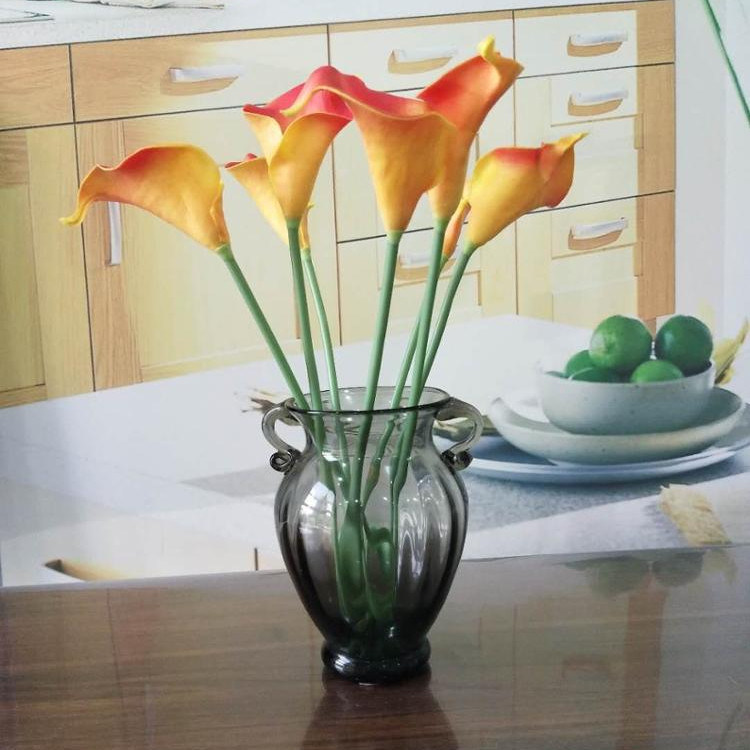 คุณภาพ Solid Color Two Ears Glass Bottle Vase , Flower Vase Glass For Home Decor โรงงาน