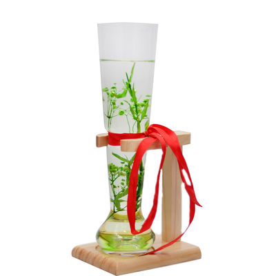 คุณภาพ Craft Beer Glasses With Wooden Stand โรงงาน