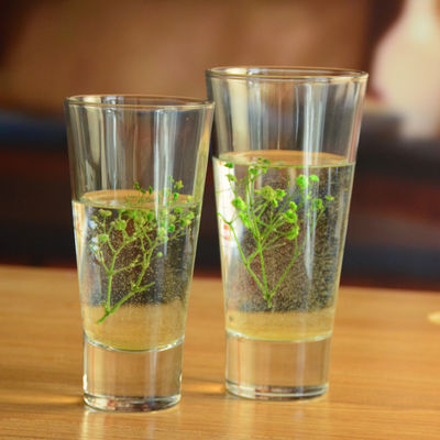 คุณภาพ Thick Bottom Heavy Duty Crystal Highball Tumblers โรงงาน